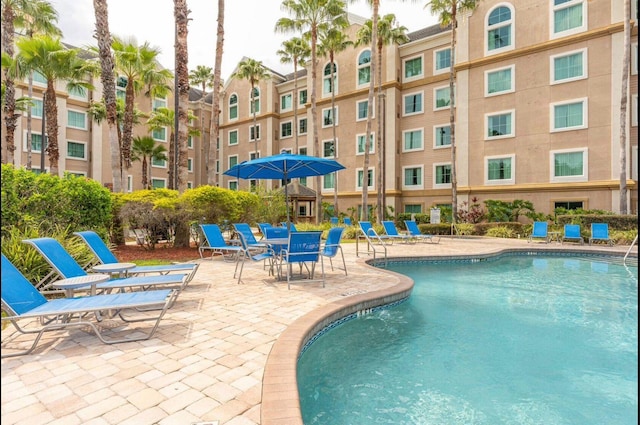 view of swimming pool featuring a patio area