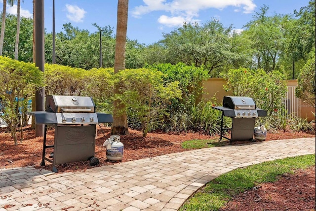 view of patio / terrace featuring area for grilling