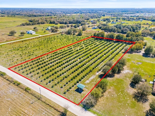 35538 Fairview Heights Rd, Zephyrhills FL, 33541 land for sale