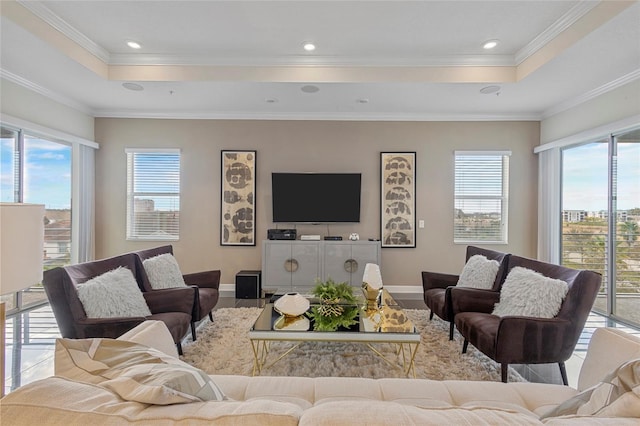 living room featuring a raised ceiling and crown molding