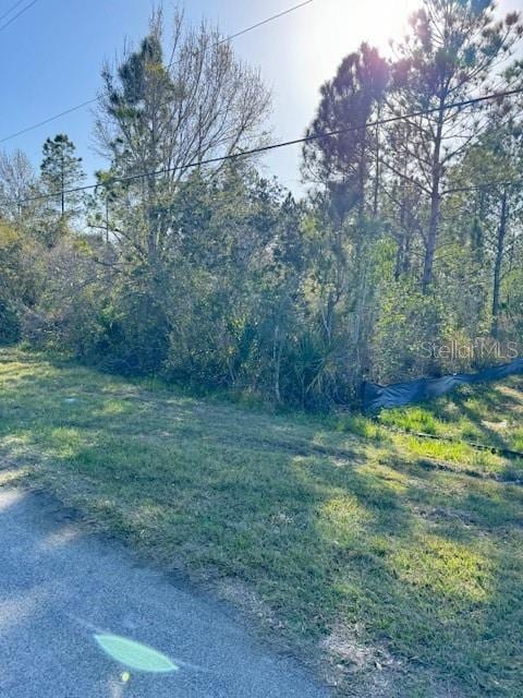 Carnegie, Orlando FL, 32833 land for sale