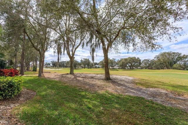 exterior space with a lawn