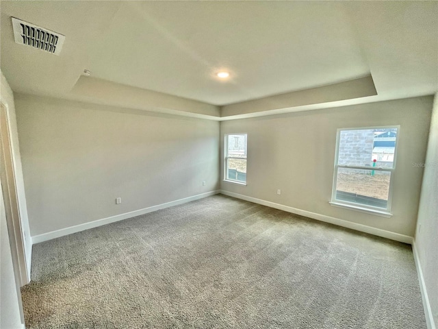 carpeted spare room featuring a raised ceiling