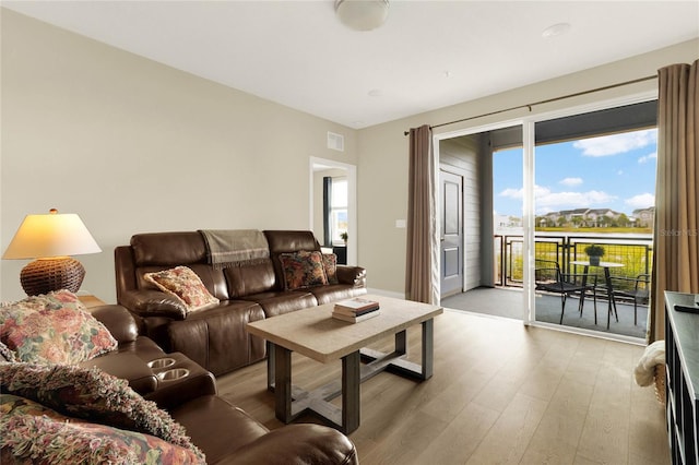 living room with wood-type flooring