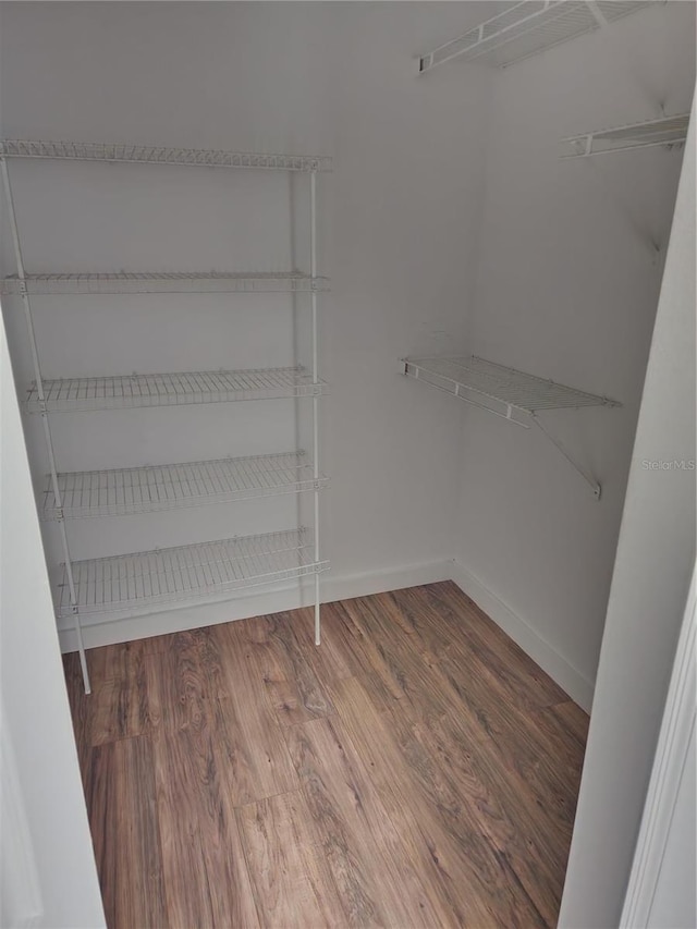 spacious closet featuring dark hardwood / wood-style flooring