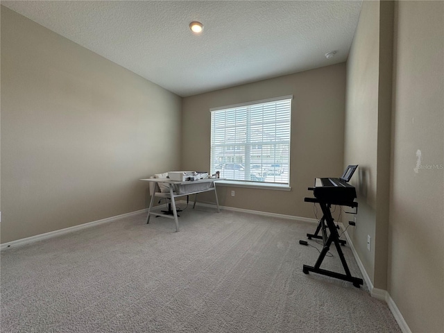 unfurnished office with a textured ceiling and light colored carpet