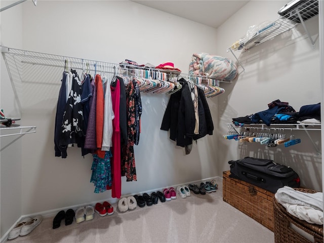 walk in closet featuring carpet