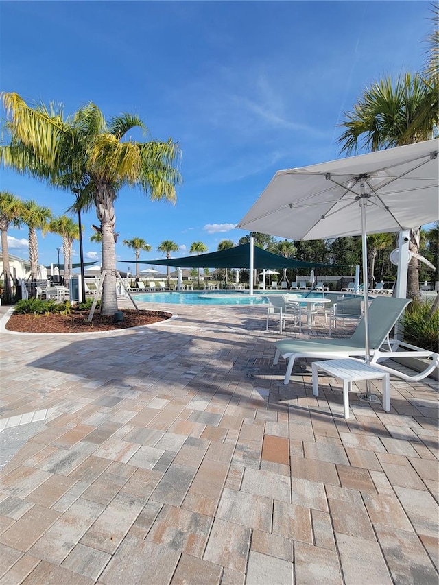 view of swimming pool featuring a patio area