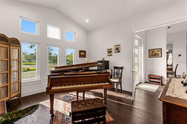 miscellaneous room with lofted ceiling and dark hardwood / wood-style floors