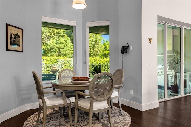 dining room featuring dark wood-type flooring