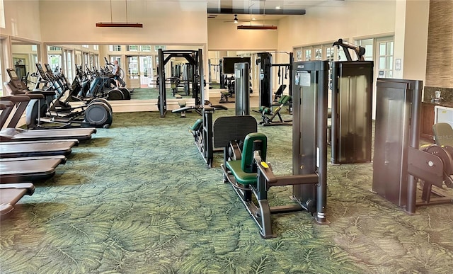 exercise room featuring carpet and a towering ceiling