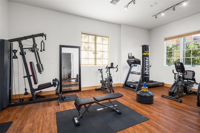 workout area featuring dark hardwood / wood-style flooring and rail lighting