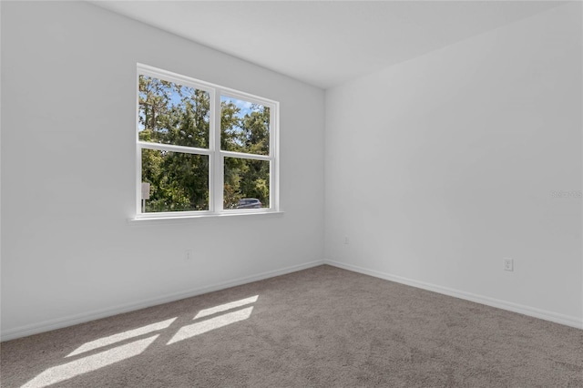 unfurnished room featuring carpet flooring