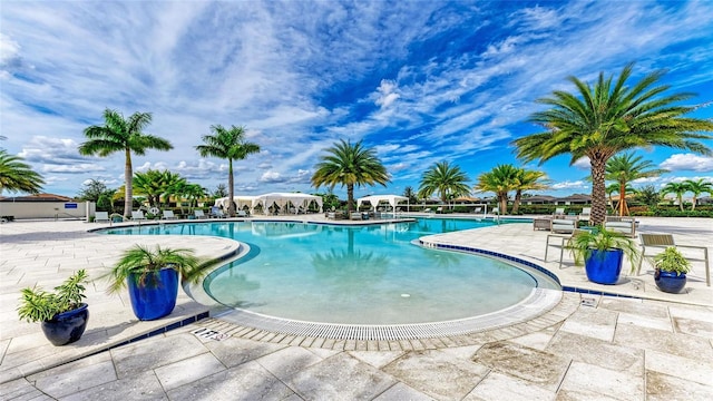 view of swimming pool featuring a patio area