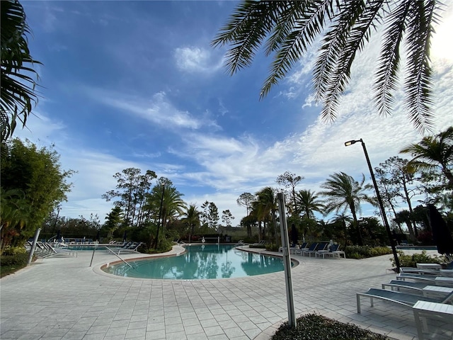 view of swimming pool featuring a patio area