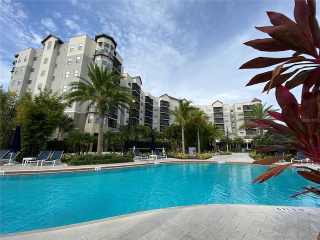 view of swimming pool