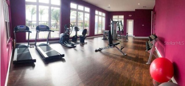 exercise room featuring hardwood / wood-style floors