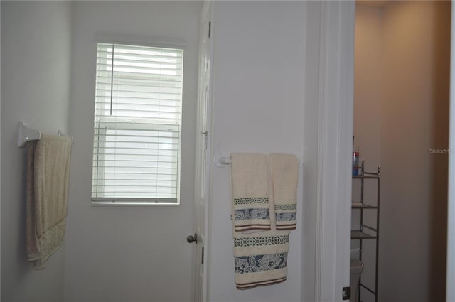 bathroom featuring a healthy amount of sunlight