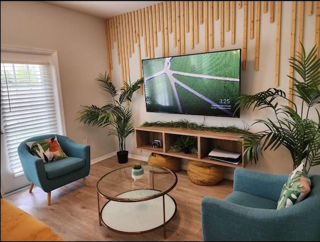 living room with hardwood / wood-style floors