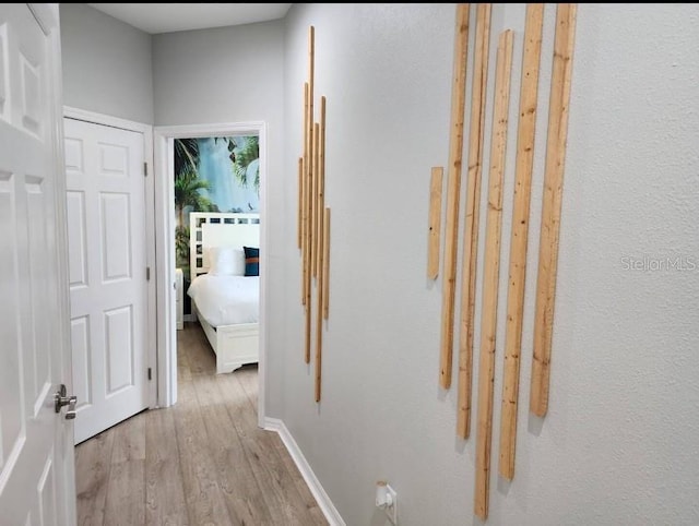 hall featuring light hardwood / wood-style floors