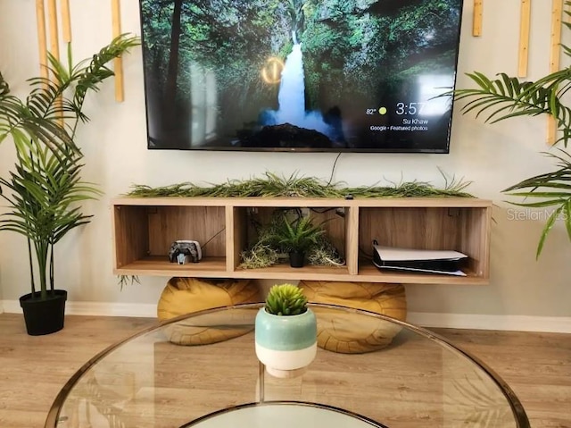 interior details with hardwood / wood-style floors