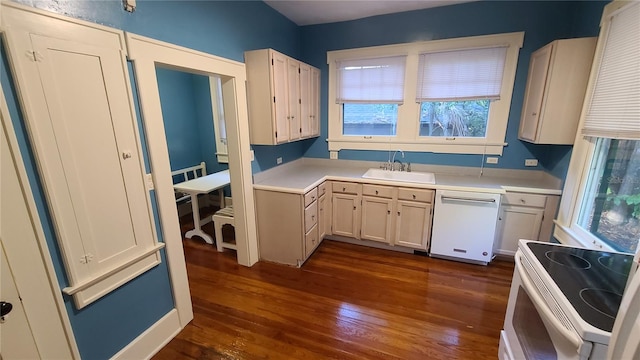 kitchen with sink, white appliances, and dark wood-type flooring