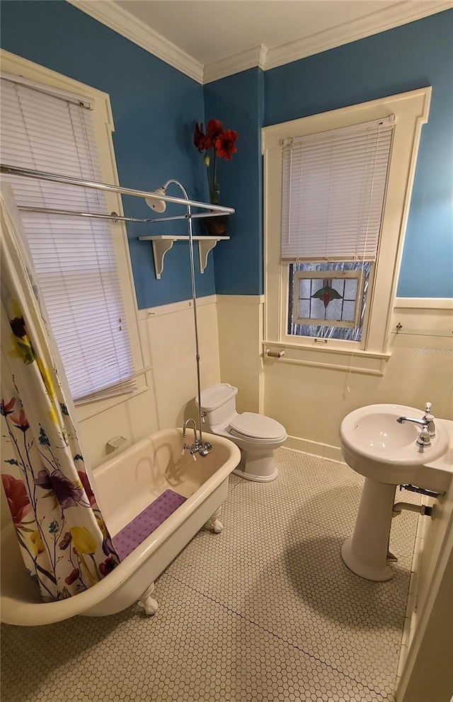 bathroom featuring a bidet, toilet, and ornamental molding