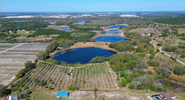 8005 N Cherry Lake Groves Rd, Groveland FL, 34736 land for sale