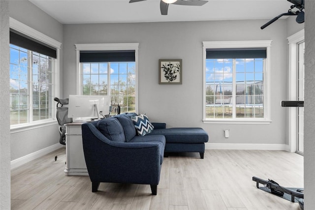 living area with plenty of natural light, light hardwood / wood-style floors, and ceiling fan