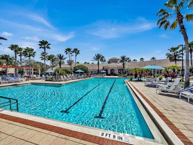 view of pool featuring a patio area