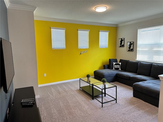 carpeted living room with ornamental molding and a textured ceiling