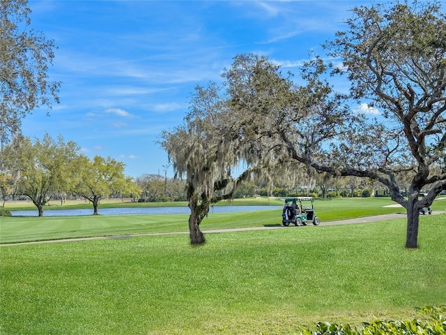 view of property's community with a lawn