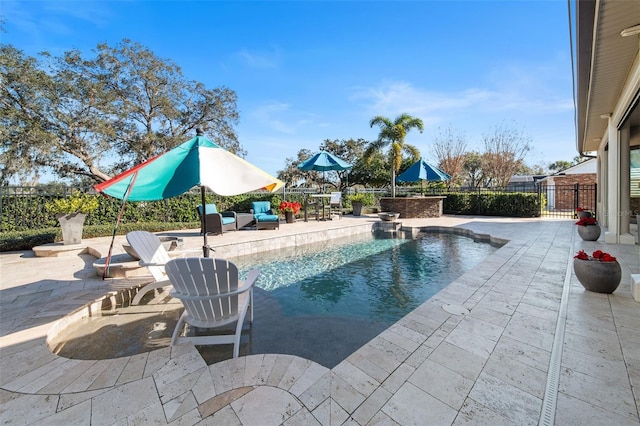 view of swimming pool with a patio