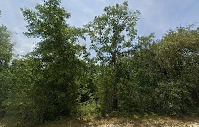 Firetower Rd, Chipley FL, 32428 land for sale