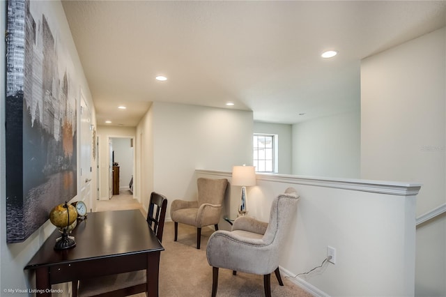 interior space with light colored carpet