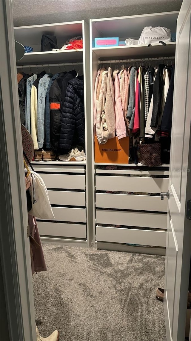 view of closet