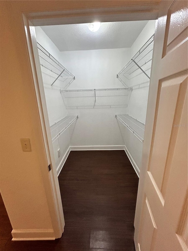 spacious closet featuring dark wood-type flooring