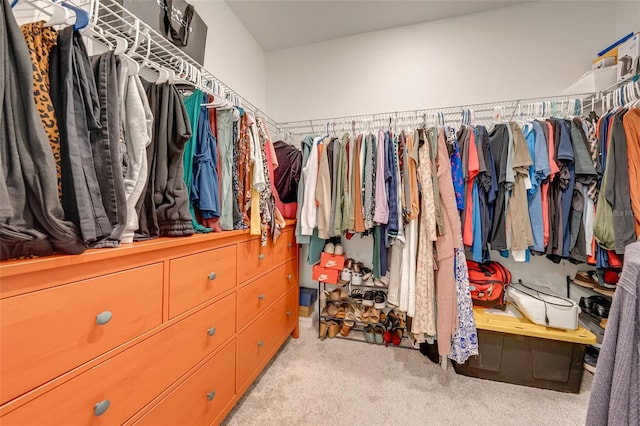 spacious closet featuring light colored carpet