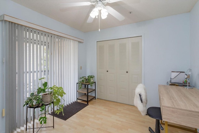 home office featuring light hardwood / wood-style floors and ceiling fan