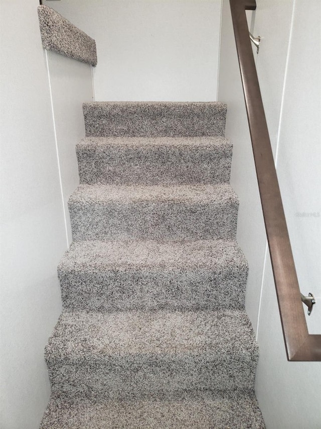 staircase featuring carpet