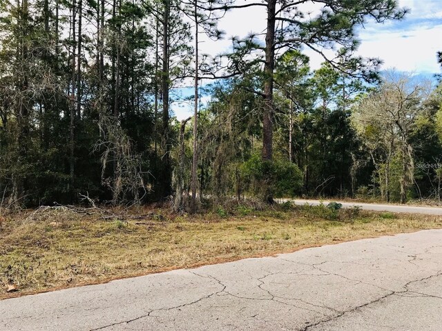 TBD NE 15th St, Williston FL, 32696 land for sale