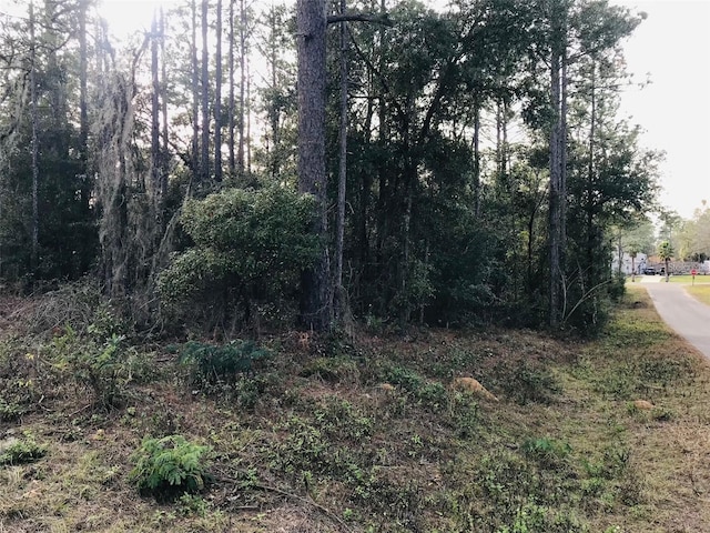 Listing photo 3 for TBD NE 15th St, Williston FL 32696