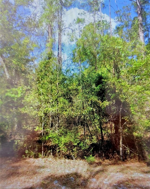 102 SE 1st St, Georgetown FL, 32139 land for sale