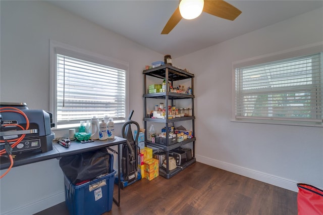 office space featuring dark hardwood / wood-style flooring and ceiling fan