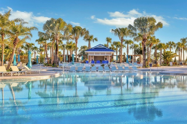 view of swimming pool