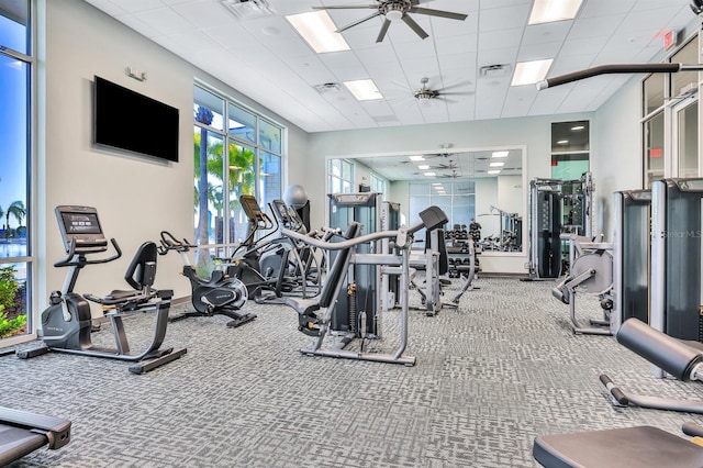 workout area featuring a paneled ceiling, ceiling fan, and carpet