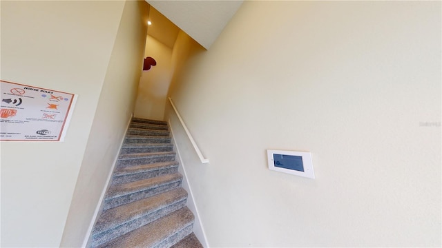 staircase with carpet flooring