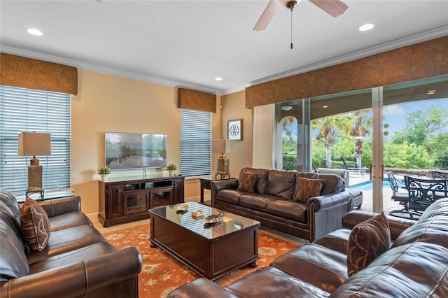 living room featuring ceiling fan and ornamental molding