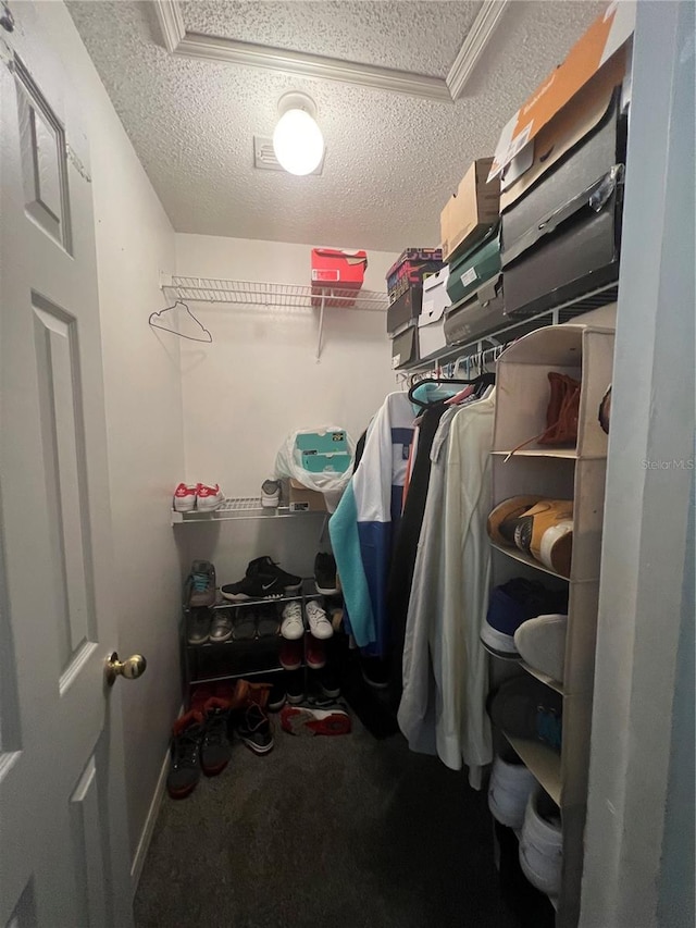 spacious closet featuring carpet