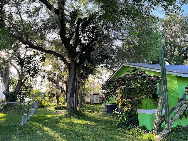 view of yard with a storage shed